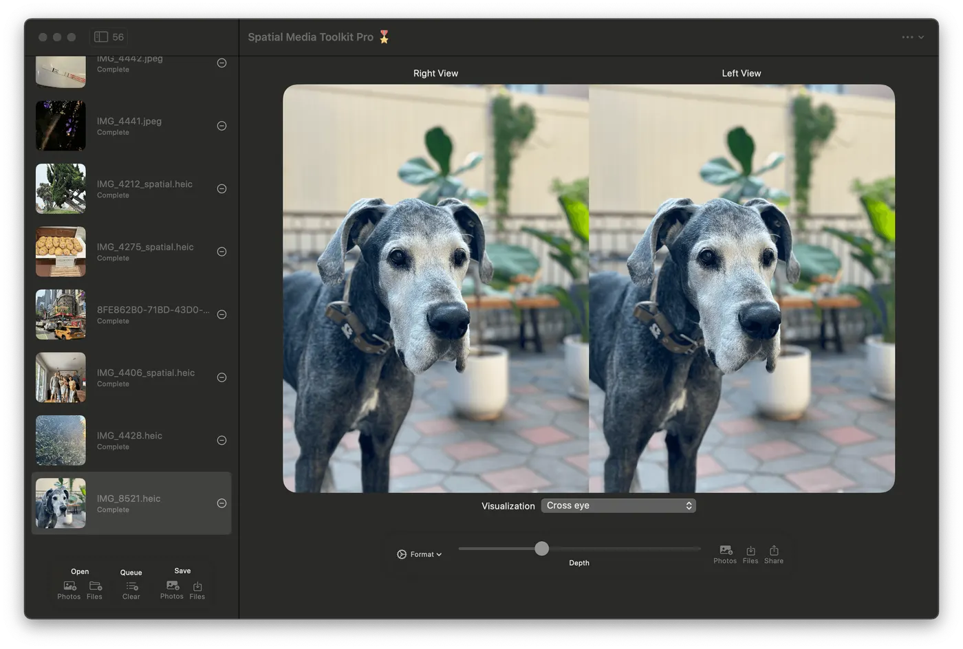 Spatial Media Toolkit on Mac with a queue of photos and a side-by-side preview of a Great Dane